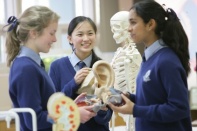 ResizedImage422281 Schools