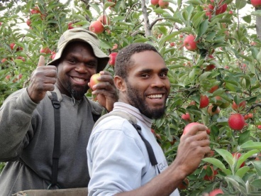 seasonalfarmemployment