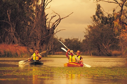 Kayaking in the Riverland