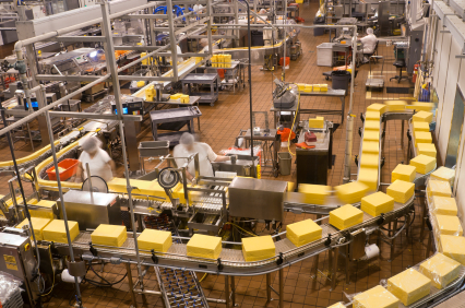 food processing automation