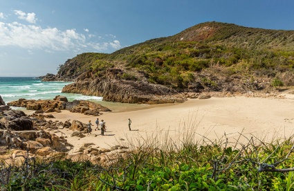 NSW